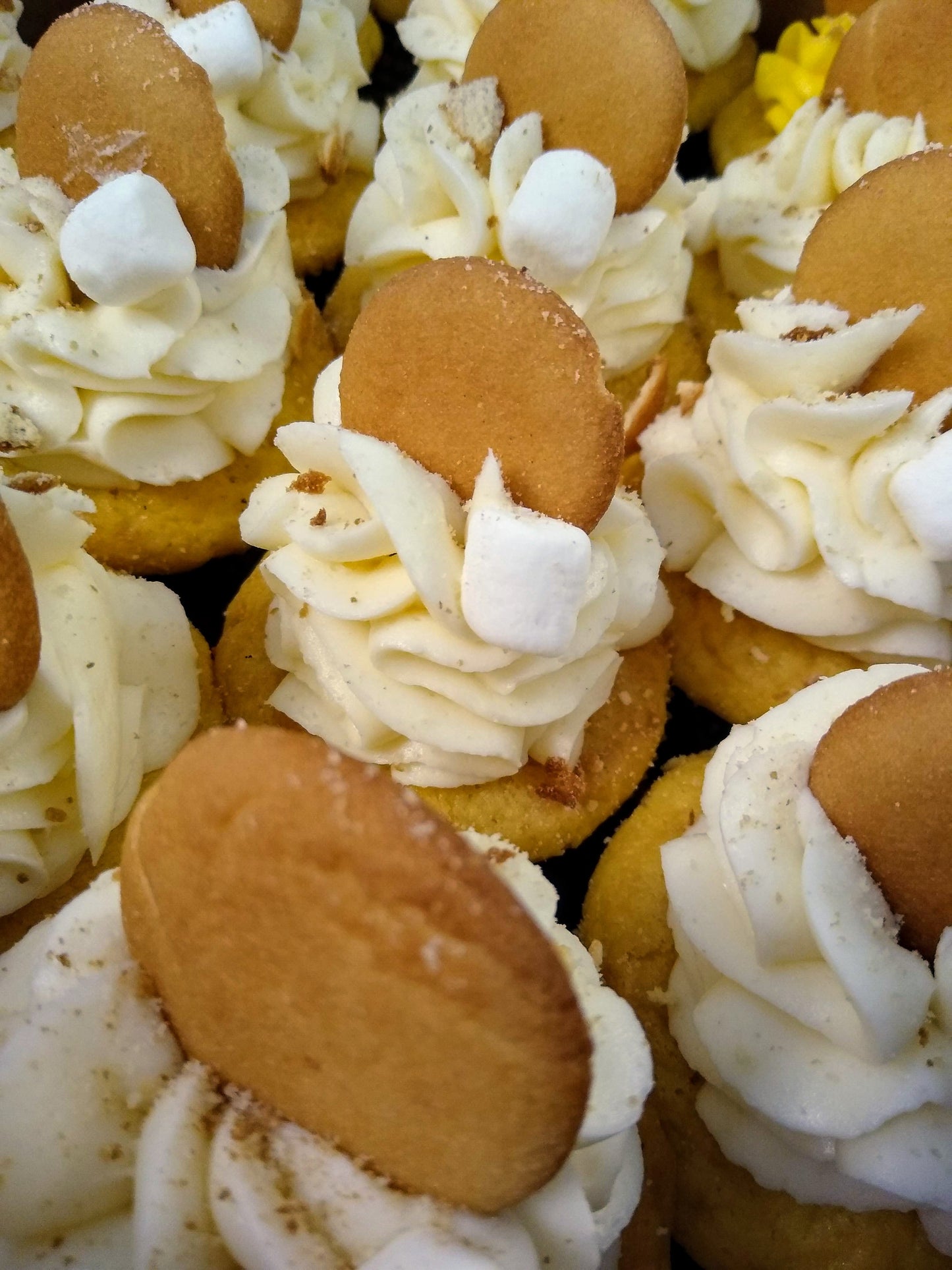 Mini Cupcakes