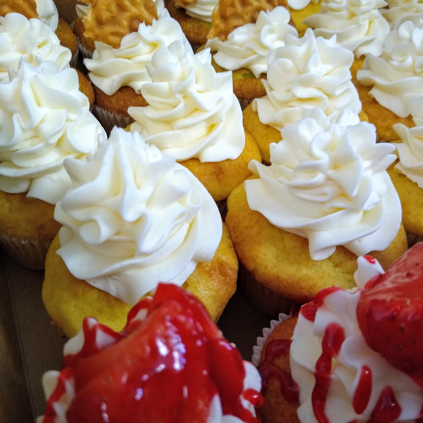 Mini Cupcakes