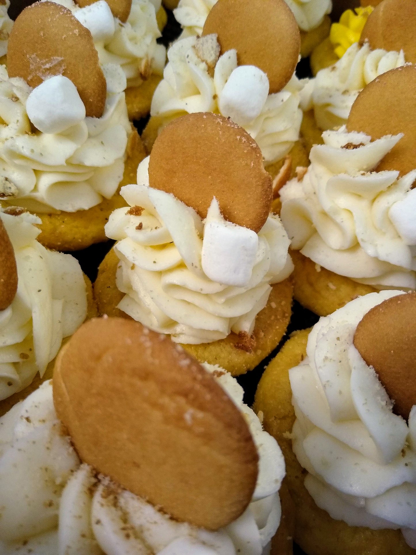 Gourmet Cupcakes